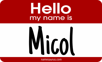 Hello my name is Micol png download
