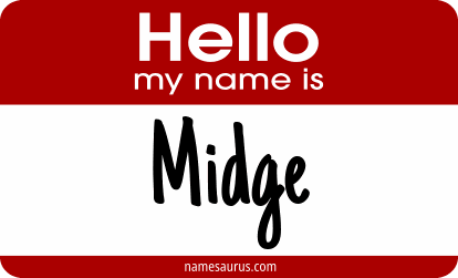 Hello my name is Midge png download