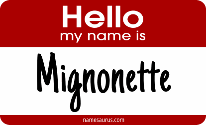 Hello my name is Mignonette png download