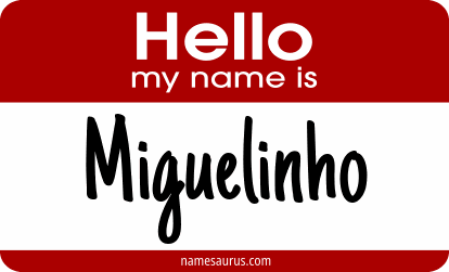 Hello my name is Miguelinho png download