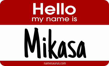 Hello my name is Mikasa png download