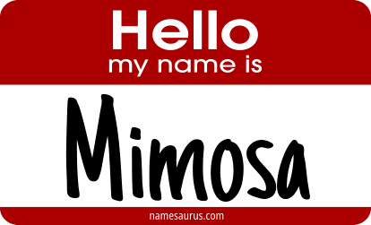 Hello my name is Mimosa png download