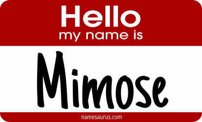 Hello my name is Mimose png download
