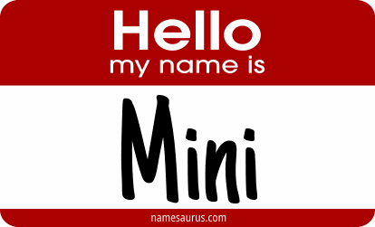 Hello my name is Mini png download