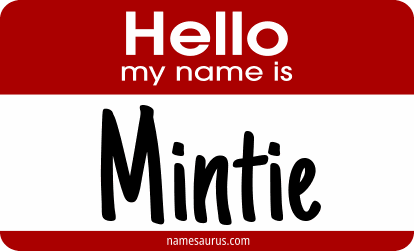 Hello my name is Mintie png download