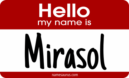 Hello my name is Mirasol png download