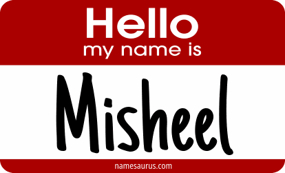 Hello my name is Misheel png download