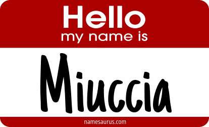 Hello my name is Miuccia png download