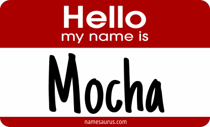 Hello my name is Mocha png download
