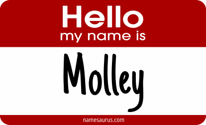 Hello my name is Molley png download