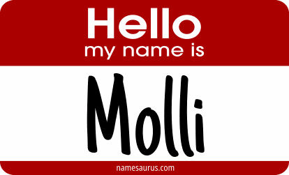 Hello my name is Molli png download