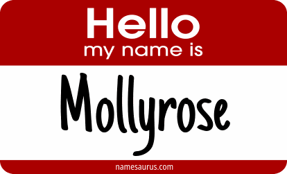 Hello my name is Mollyrose png download