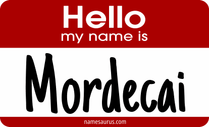 Hello my name is Mordecai png download