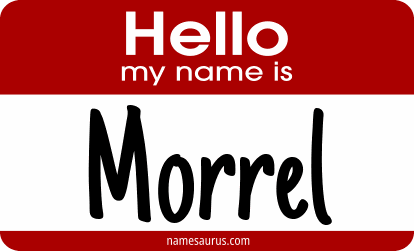 Hello my name is Morrel png download