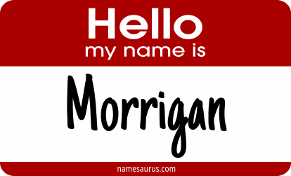 Hello my name is Morrigan png download
