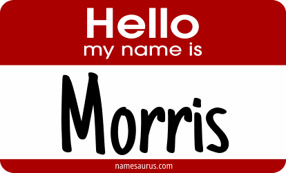 Hello my name is Morris png download
