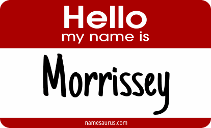 Hello my name is Morrissey png download