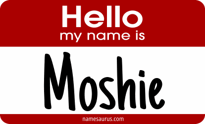 Hello my name is Moshie png download