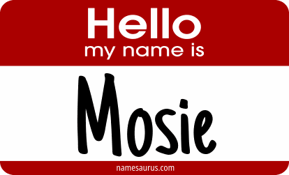 Hello my name is Mosie png download