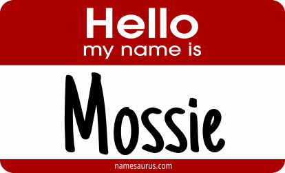 Hello my name is Mossie png download