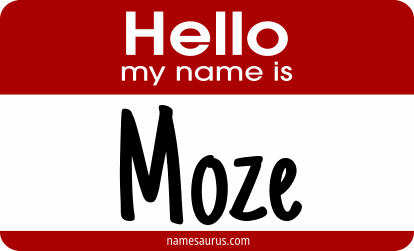 Hello my name is Moze png download