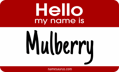 Hello my name is Mulberry png download