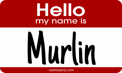 Hello my name is Murlin png download