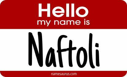Hello my name is Naftoli png download