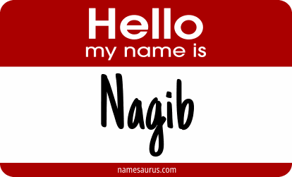 Hello my name is Nagib png download