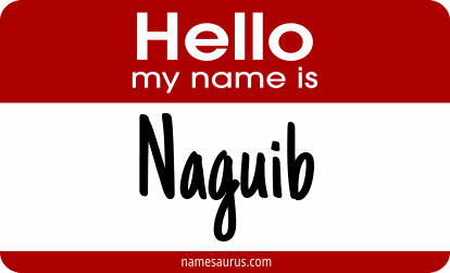 Hello my name is Naguib png download