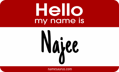 Hello my name is Najee png download