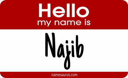 Hello my name is Najib png download