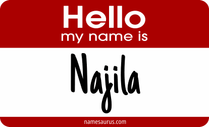 Hello my name is Najila png download