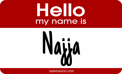 Hello my name is Najja png download