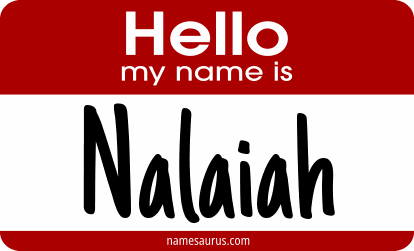 Hello my name is Nalaiah png download