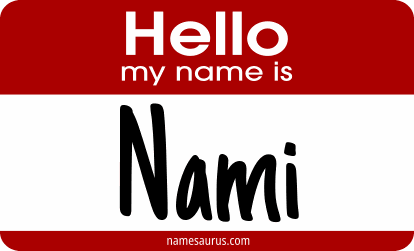 Hello my name is Nami png download