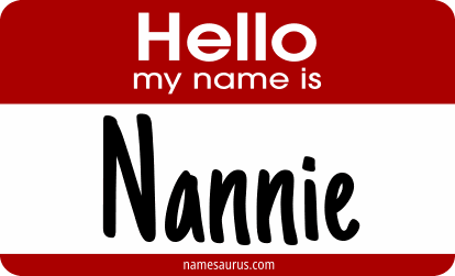 Hello my name is Nannie png download
