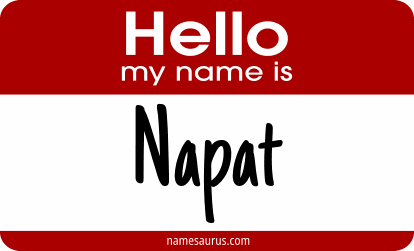 Hello my name is Napat png download