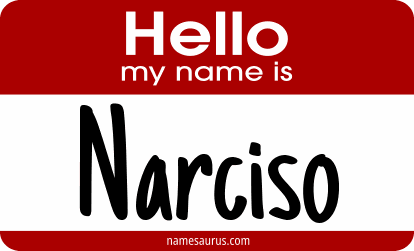 Hello my name is Narciso png download