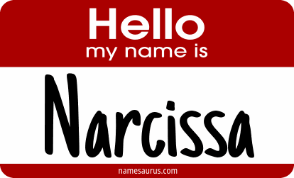 Hello my name is Narcissa png download