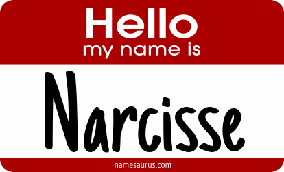 Hello my name is Narcisse png download