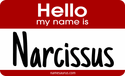 Hello my name is Narcissus png download