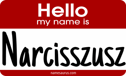 Hello my name is Narcisszusz png download