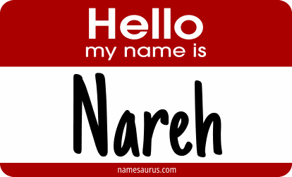 Hello my name is Nareh png download