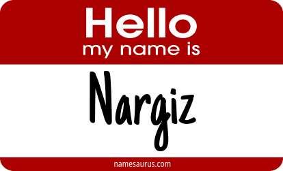 Hello my name is Nargiz png download
