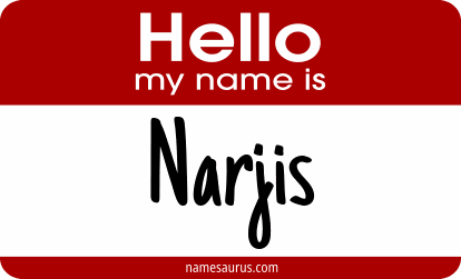 Hello my name is Narjis png download