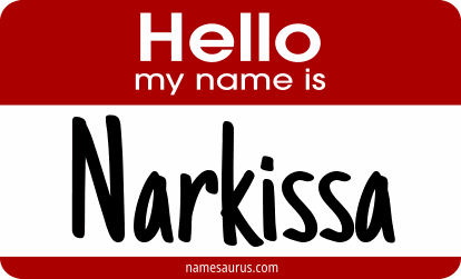 Hello my name is Narkissa png download
