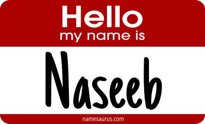 Hello my name is Naseeb png download