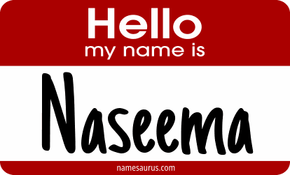 Hello my name is Naseema png download
