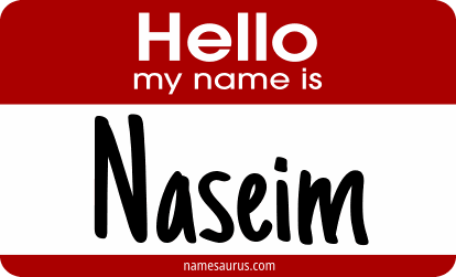 Hello my name is Naseim png download